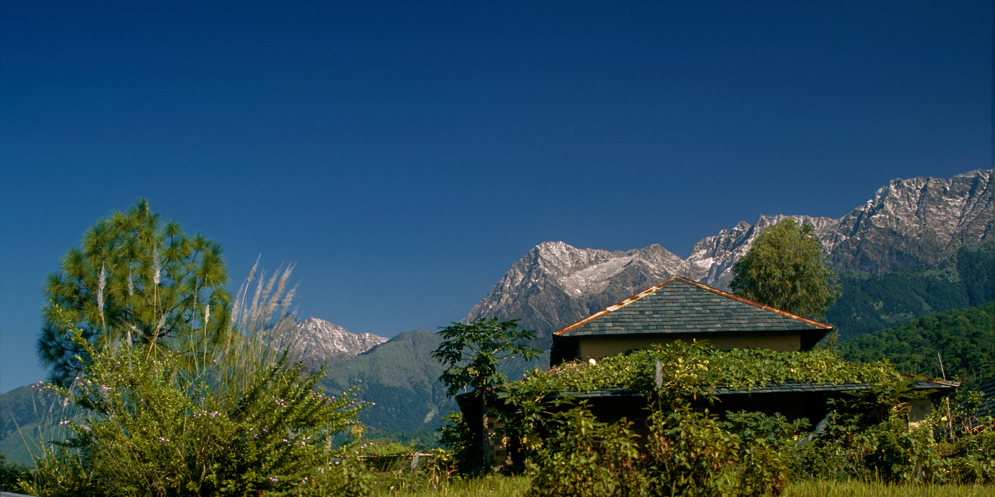 Pragpur-Heritage-Village-Life-in-Kangra-Valley-4.png