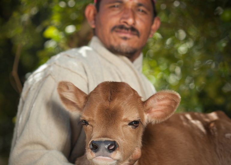 Villages-Traditional-Homes-and-Everyday-Himachali-Life.jpg