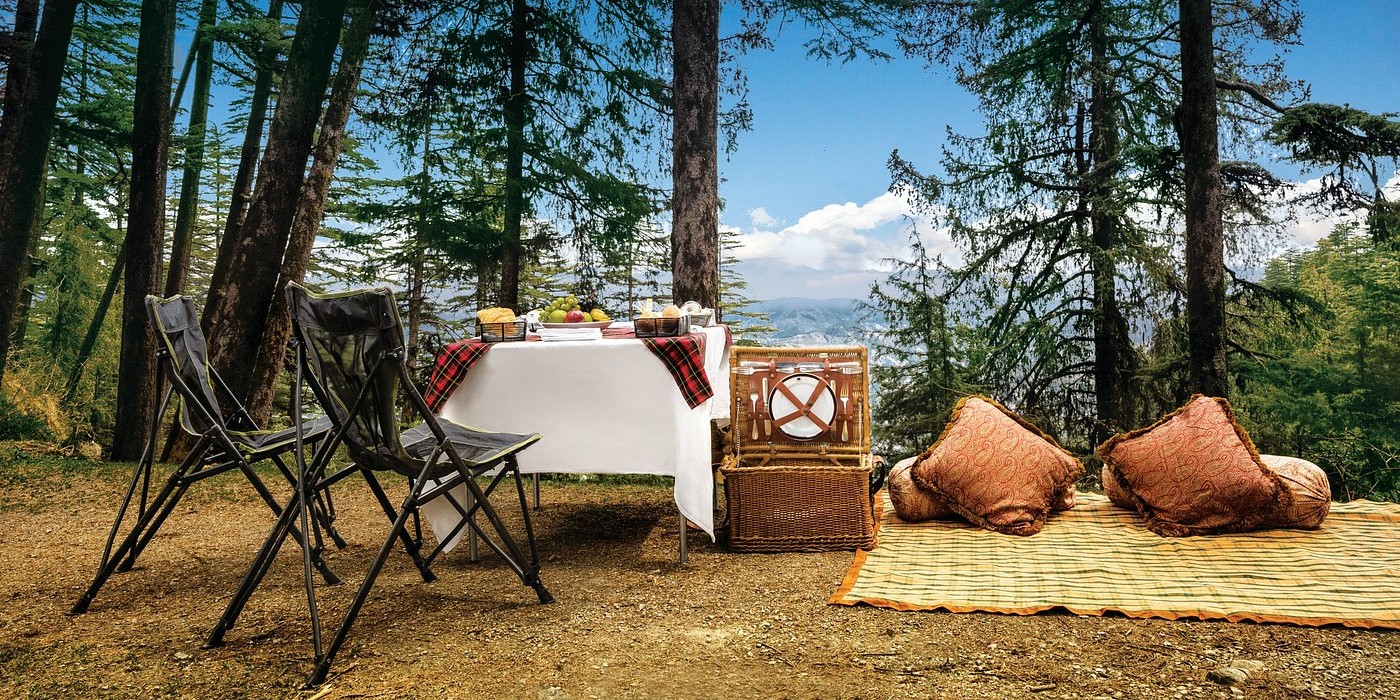 picnic-at-the-peak.jpg