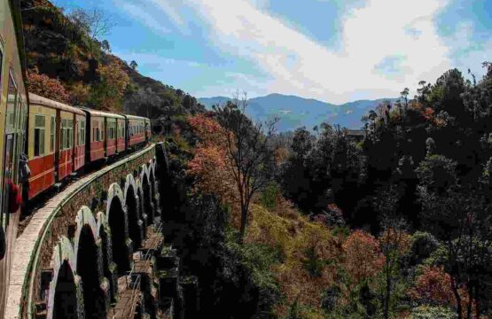 shimla-himachal-pradesh-50kb-1.jpg