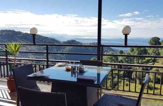 view-from-terrace-50kb-555x360.jpg