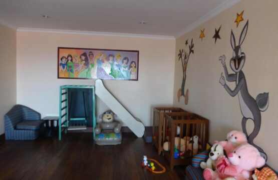 49117915.jpg