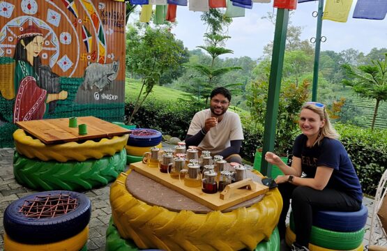 Palampur-Tea-Art-and-Dhauladhar-Landscapes-10-555x360.jpg