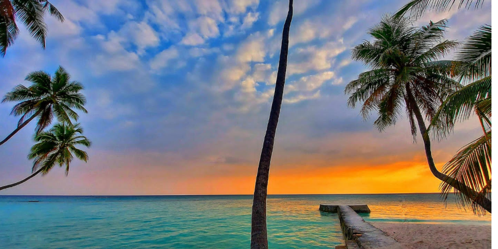 Island-hopping-in-Maldives-Banner7.png