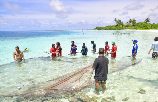 Maldives-Local-Village-and-Island-Experiences1-555x360.jpg