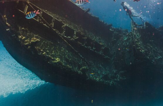 Shipwreck-Diving-Experience-Maldives-Banners1-555x360.jpg