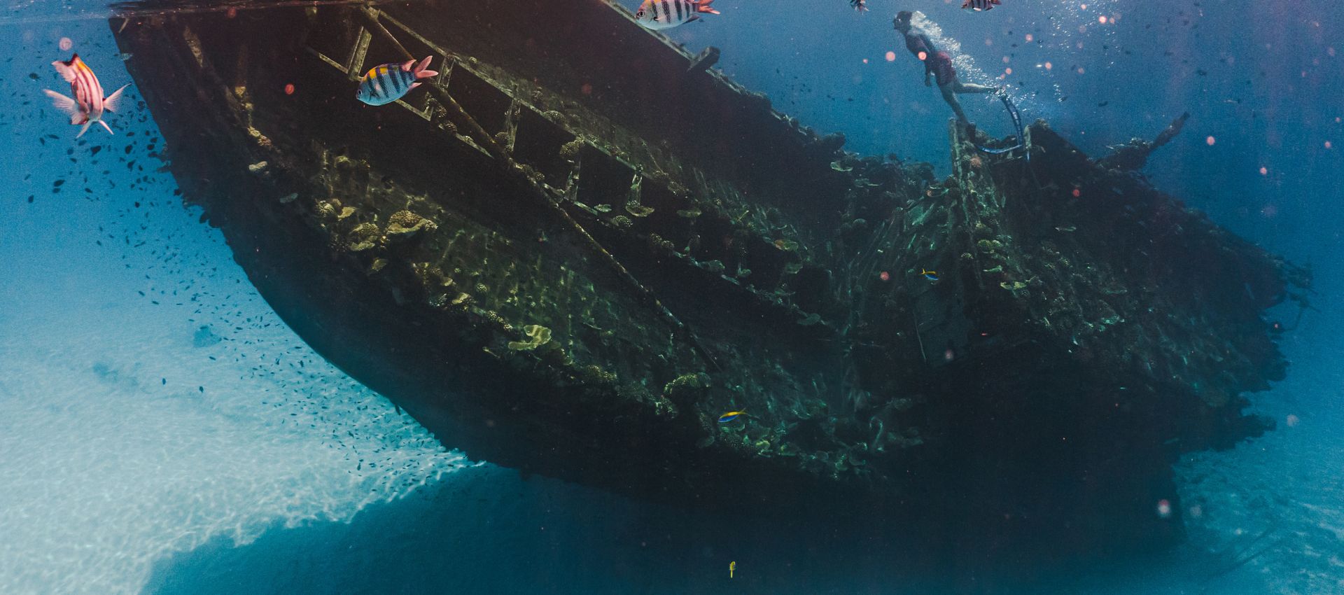 Shipwreck-Diving-Experience-Maldives-Banners1.jpg