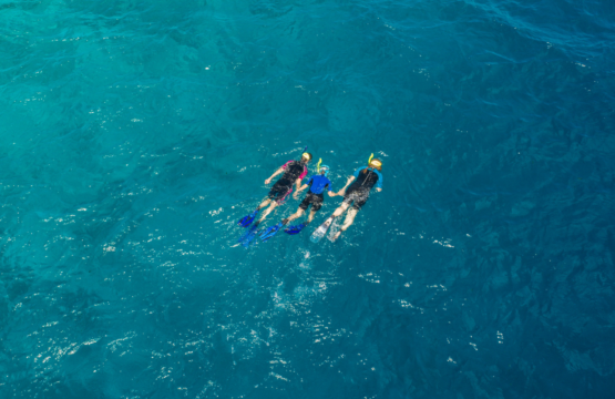 Snorkelling-In-Maldives-BANNER-2-555x360.png