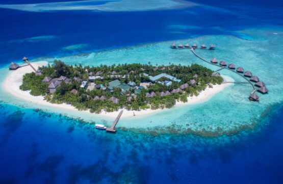 DJI_0221.jpg