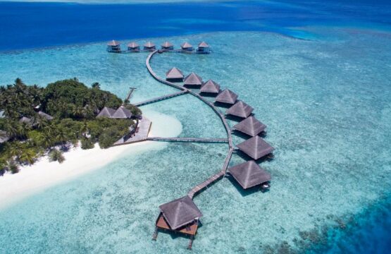 DJI_0223.jpg