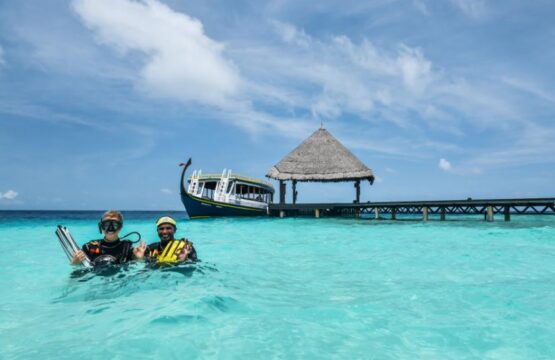 Diving-ACR.jpg
