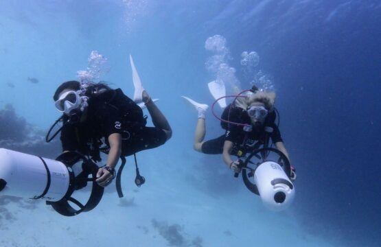 Diving-and-Marine-Life-Snorkelling-Maldives-1-1-555x360.jpg
