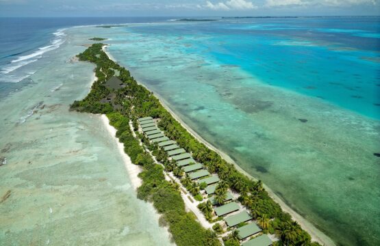 aerial-555x360.jpg