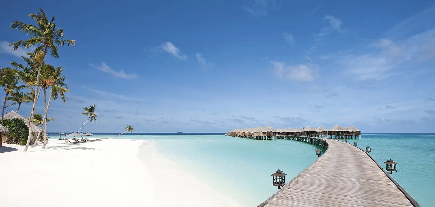 beach-view-1.webp