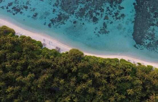 bikini-beach-area-1-555x360.jpg