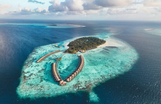 welcome-to-our-island-555x360.jpg