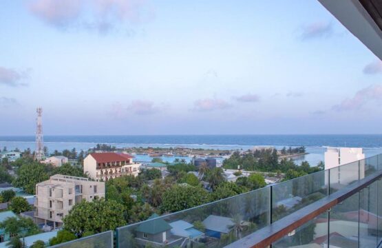 529616959-1.jpg