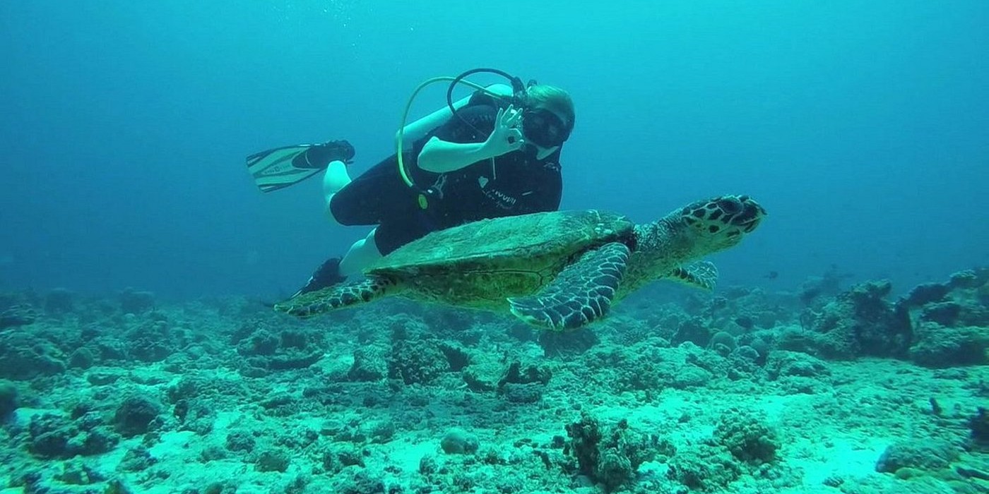 diving.jpg