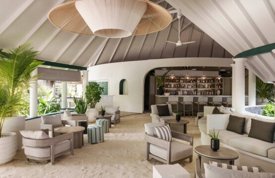 nautilus-bar-555x360.jpg
