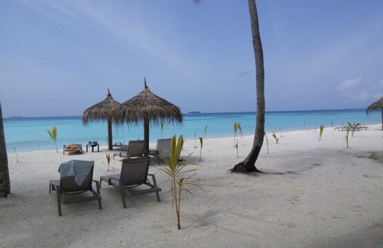view-from-room.jpg