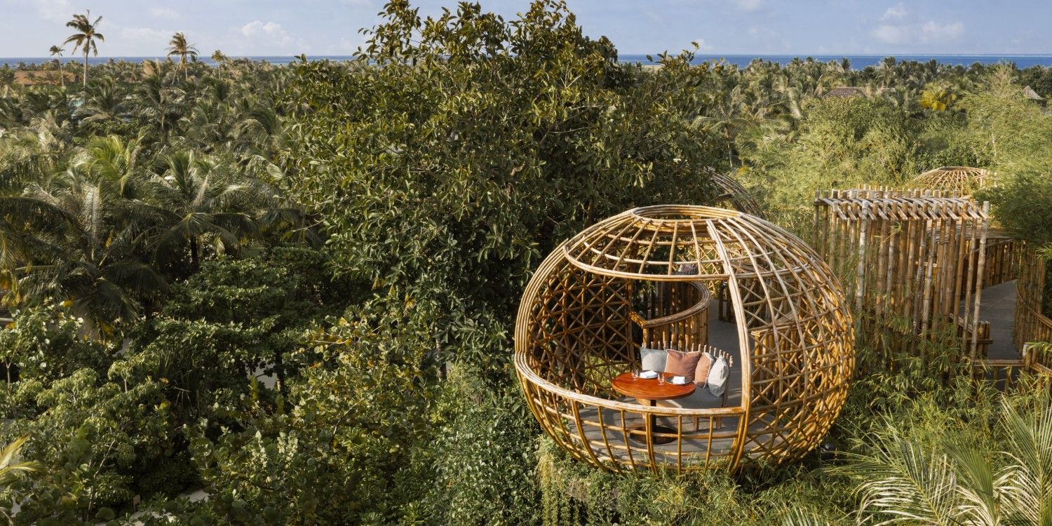 WAMI-Culinary-Terra-BambooPod1.jpg