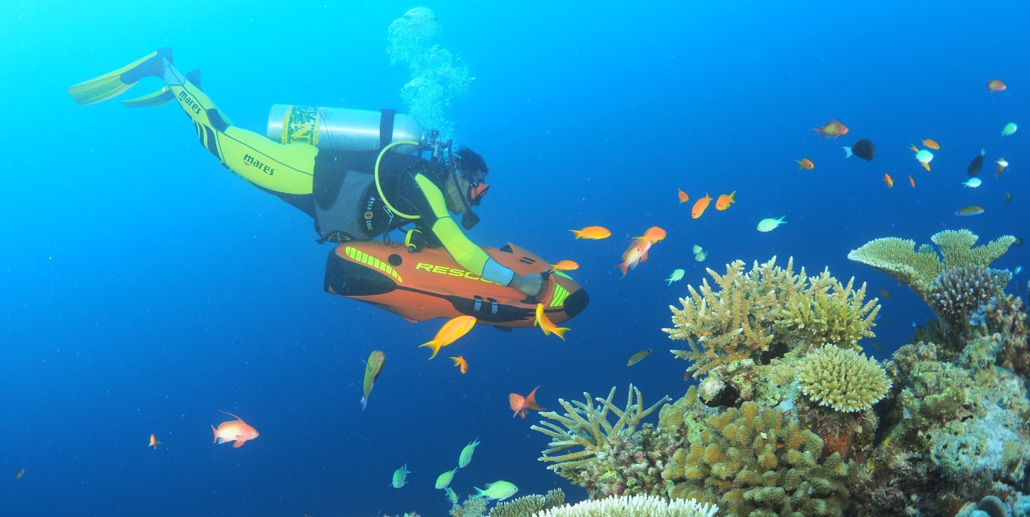 YouMeMaldives_Diving2.jpg