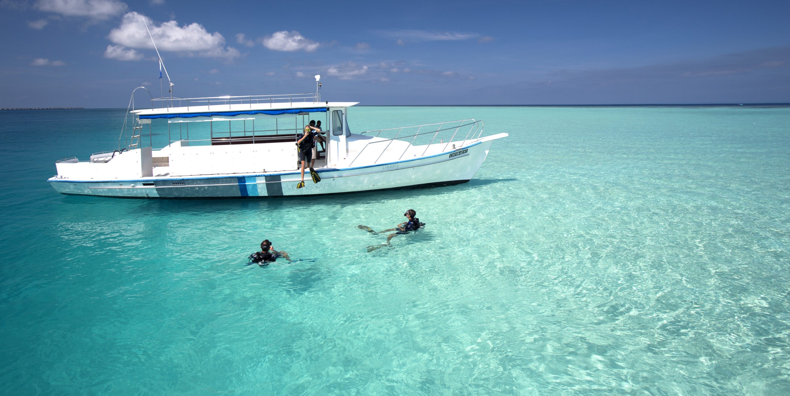 diving-1-scaled-1.jpg