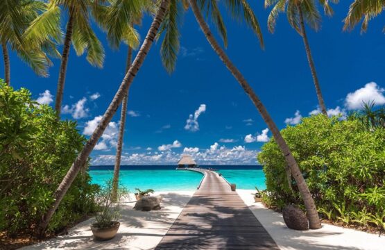 guest-arrival-jetty.jpg