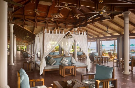 main-bar-1-555x360.jpg