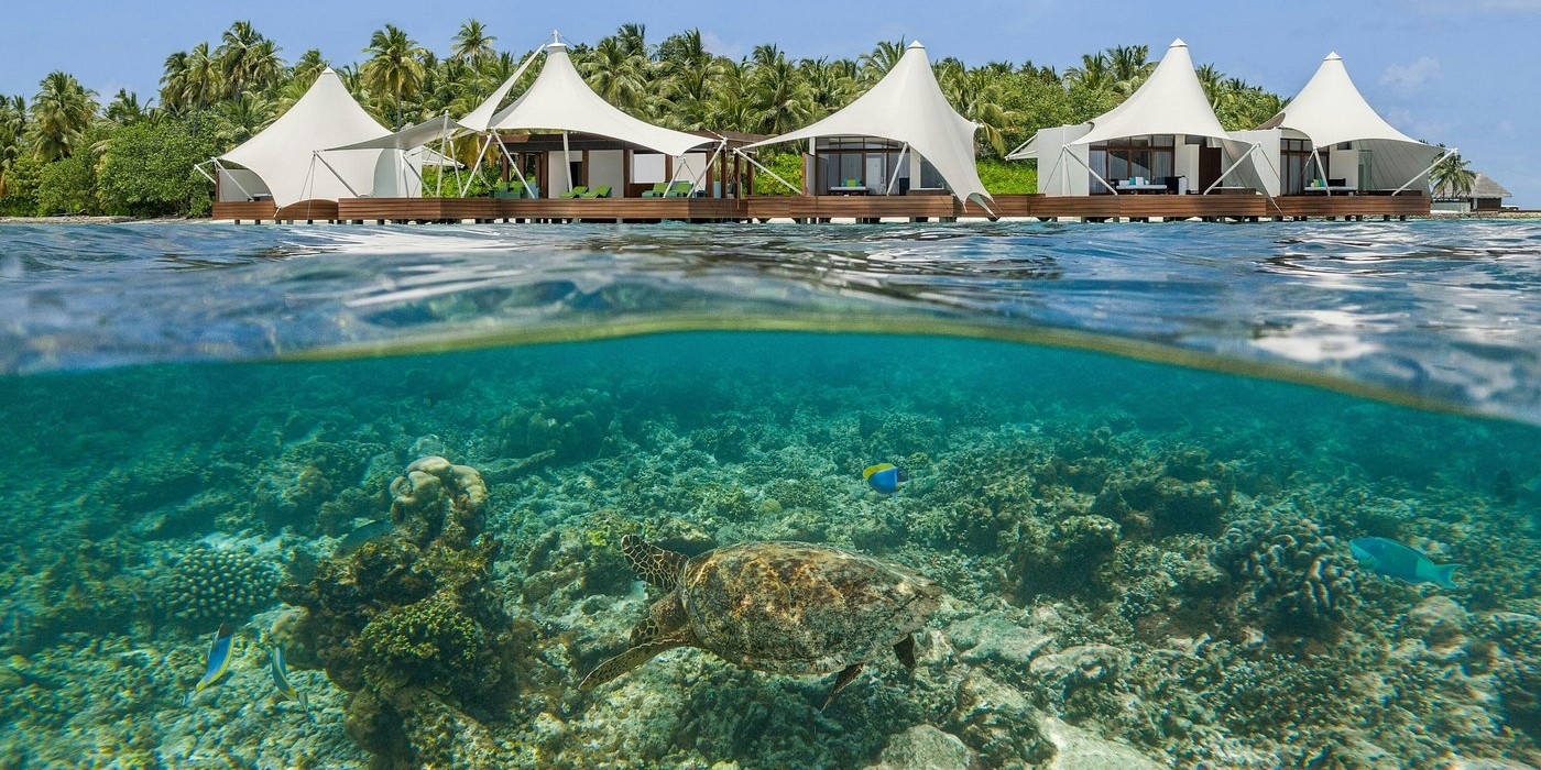 housereef-spa.jpg