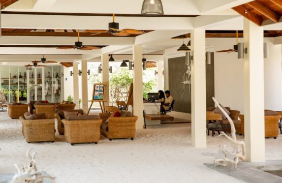 reception-1-555x360.jpg