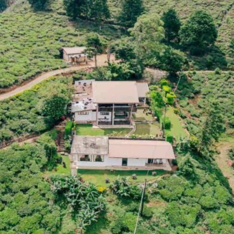 hill-safari-eco-lodge3