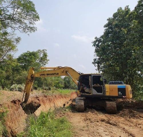 A Human–Elephant Conflict Success Story from Sri Lanka