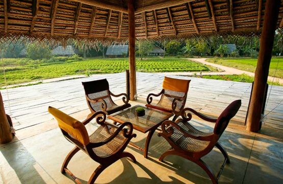 Amuna-Ayurveda-Wellness-Resort-%E2%80%93-Sigiriya-Plush12-1.jpg