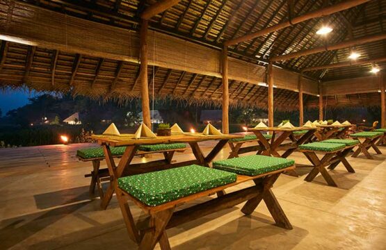 Amuna-Ayurveda-Wellness-Resort-%E2%80%93-Sigiriya-Plush13.jpg