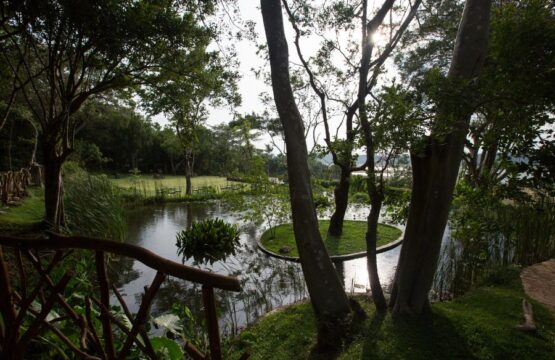 deer-park-surr.jpg