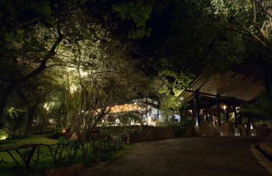 deer-park-surr3.jpg