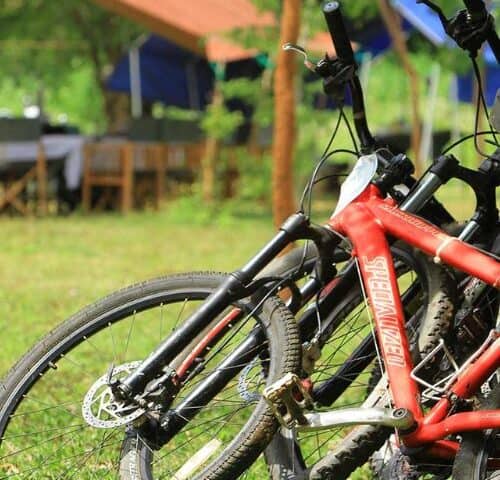 Our Cycling Fleet & Bike Models