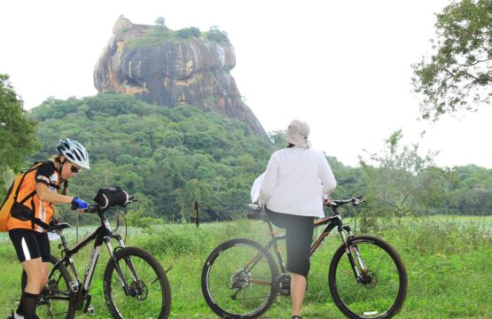 cycling-tour-14-days3-555x360.jpg
